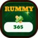 rummy 365 apk