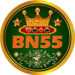 BN55 Game