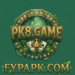Pk8 Game